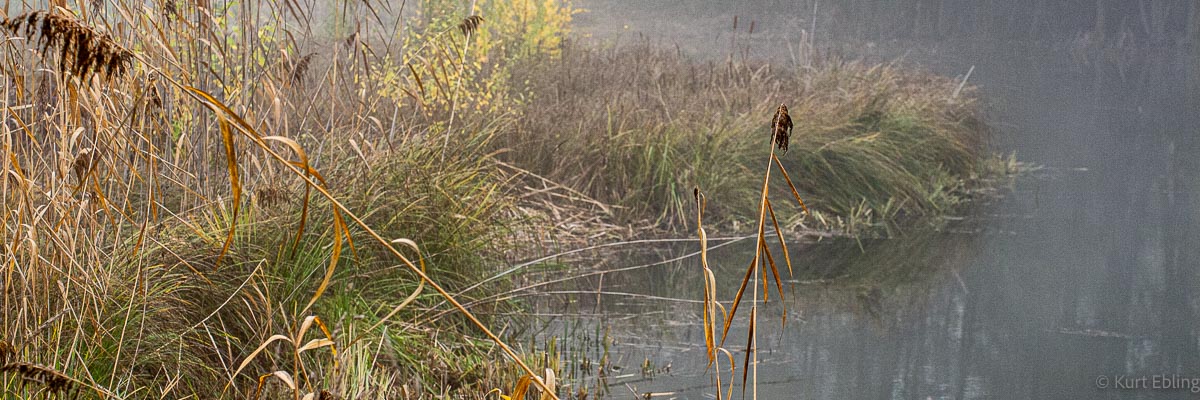 Permalink zu:See bei Appenheim