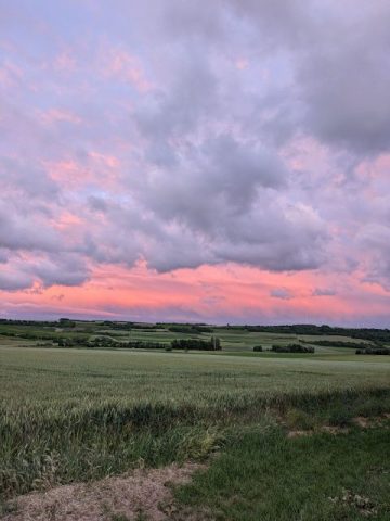 -Wolfgang Hirth – Wolkenwalze