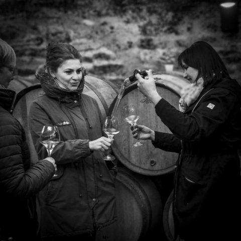 Ekkehard Wulff – 1 Kellerprobe