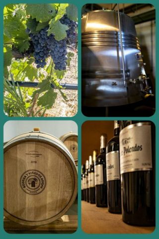 Ekkehard Wulff – Weinherstellung