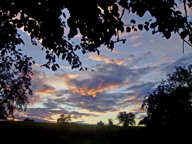 Hans Jürgen Schäfer – Abendstimmung