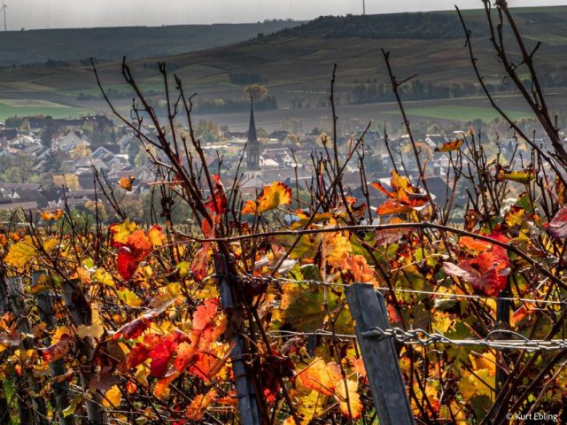 Kurt Ebling – Schwabenheim