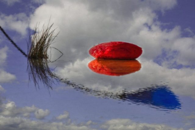 Romy Köppler – Spiegelung