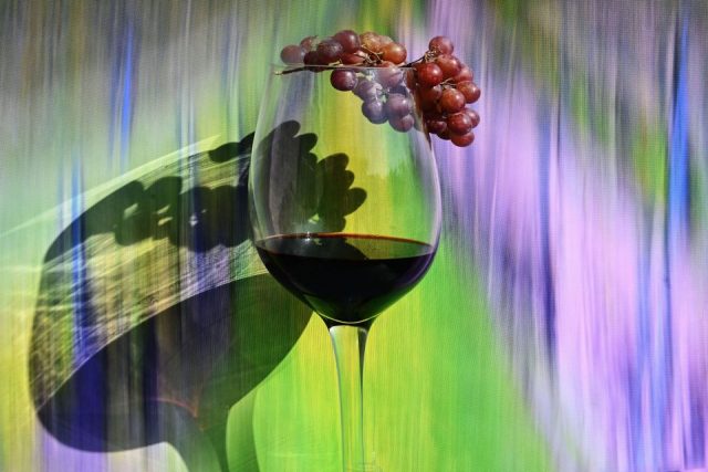 Romy köppler – Wein im Weinberg