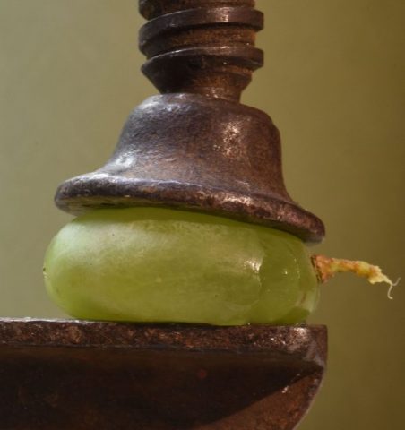 Rudi Rogalla – Traubepresse