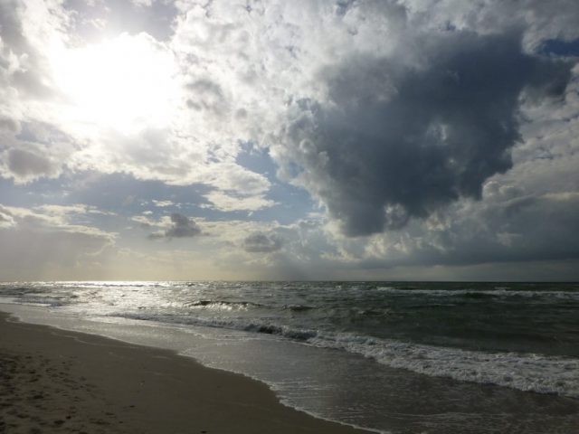 Wolfgang Hirth – Auf dem Darß