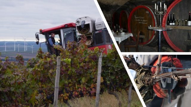 Wolfgang Hirth – Kreislauf