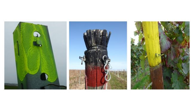 Wolfgang Hirth – Stickelparade