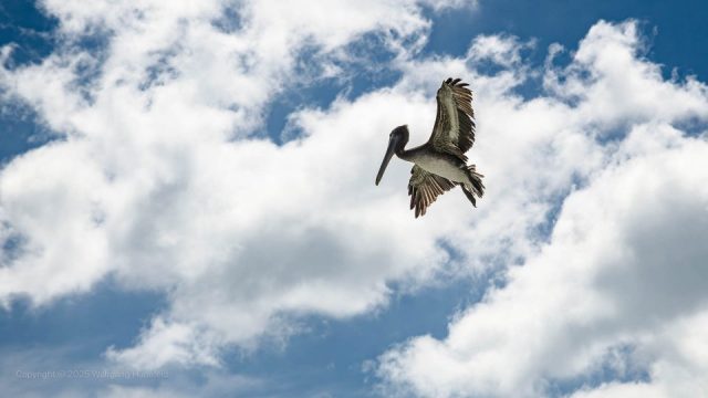 Wolfgang Hünefeld – Landeanflug