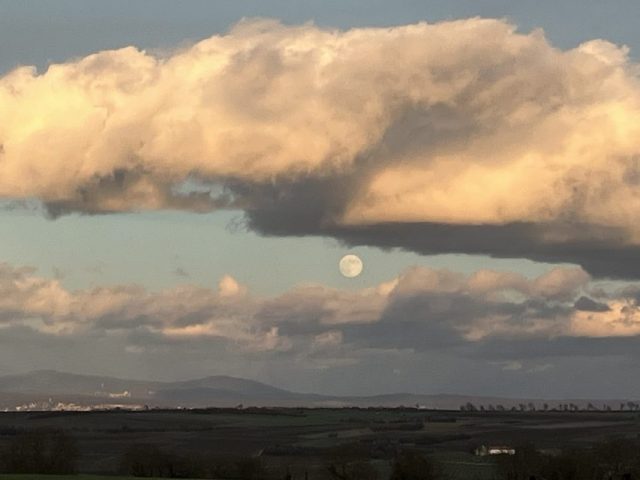 Wolfgang Stwrtetschka – Zwischen den Fronten