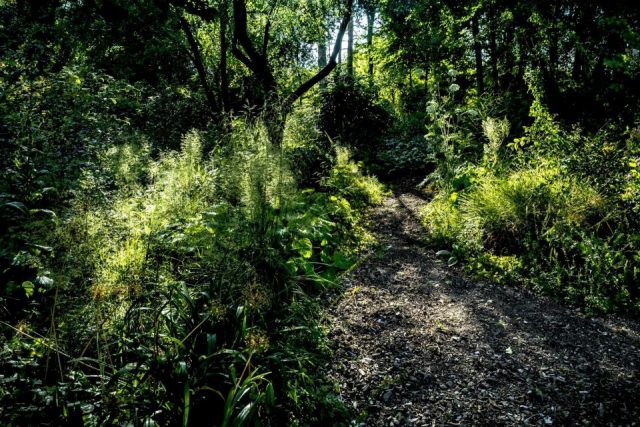 Ekki Wulff – Gartenweg bearbeitet