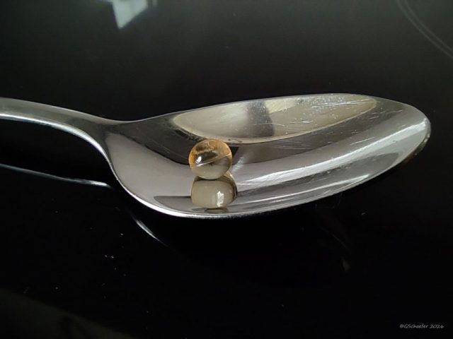 Gerd Schäfer – Wochenration