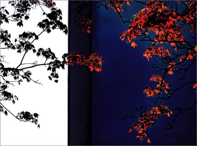 Günther Mussel – Kontraste in der Nacht