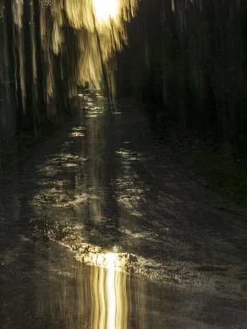 Jürgen Ries – Regenspaziergang