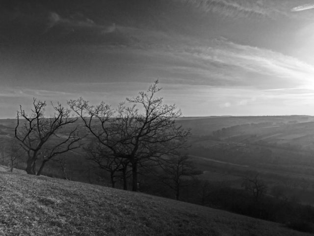 Jürgen Ries – Rheinhessenwinter