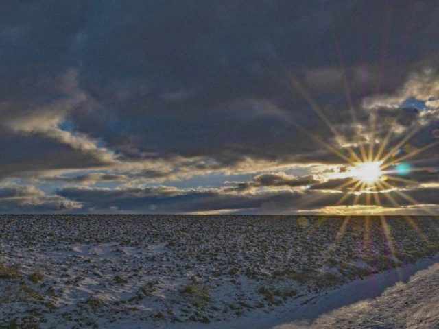 Jürgen Ries – Winterspaziergang