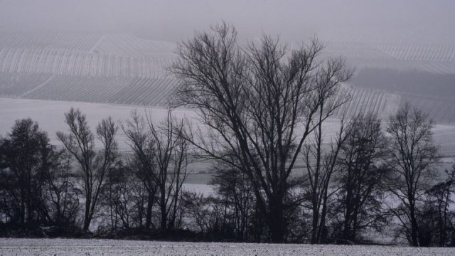 Rudi Rogalla – Im Selztal