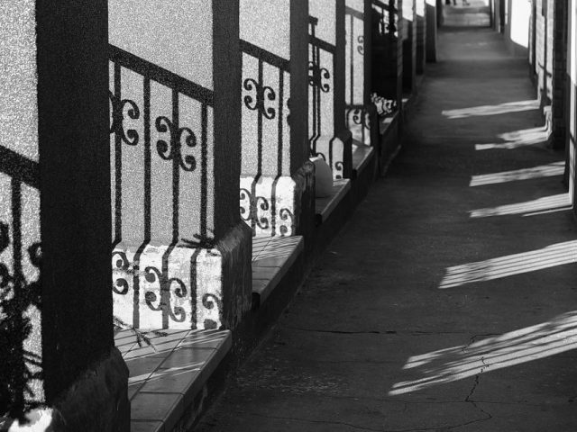 Wolfgang Hirth – Schattengang