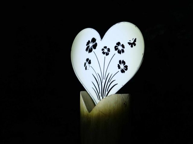 Wolfgang Stwrtetschka – Herz Solo-P1012684_