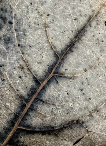 Wolfgang Stwrtetschka – Streckennetz-IMG_6541_4