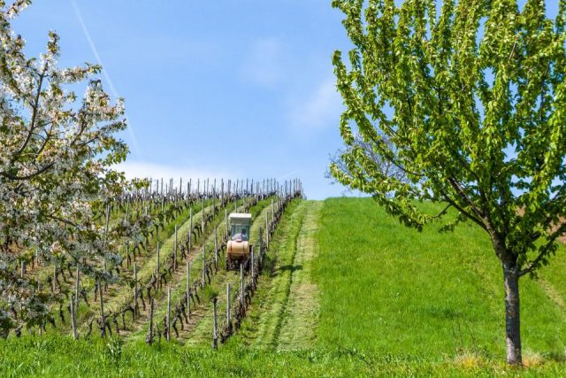 Jochen Lichtenthäler: Im Märzen, der Bauer