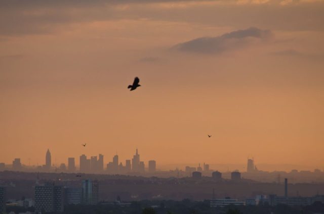 Christof Kühn: Frankfurt