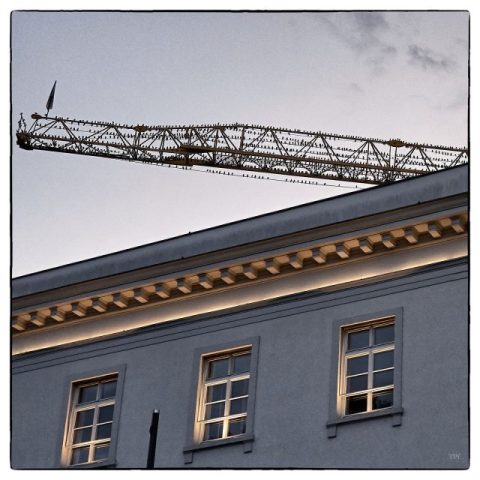 thomas_pfeiffer: 1_Vogelperspektive